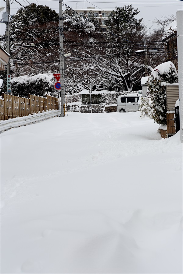 仙台大雪02