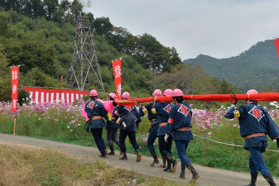 DSC_9660_2007.jpg