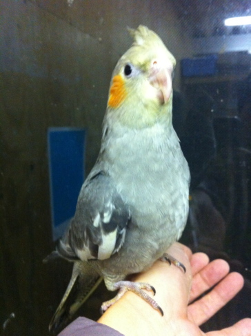 2012-11-16.jpg