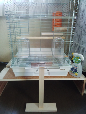 入り口スタンド