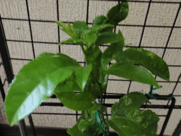 P9281033.jpg