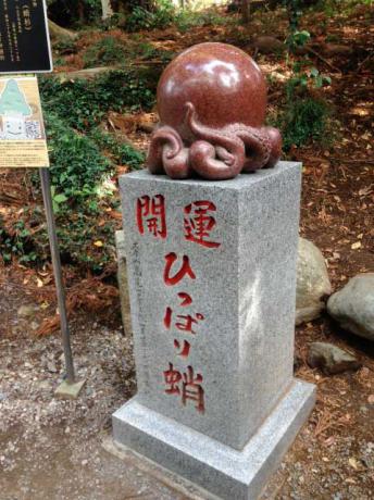引っ張りだこ