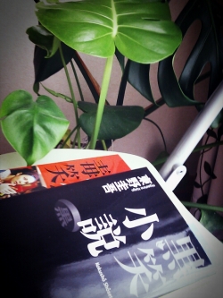 20130308.jpg