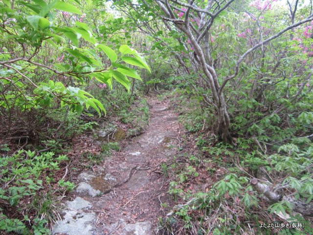 IMG_0967.jpg