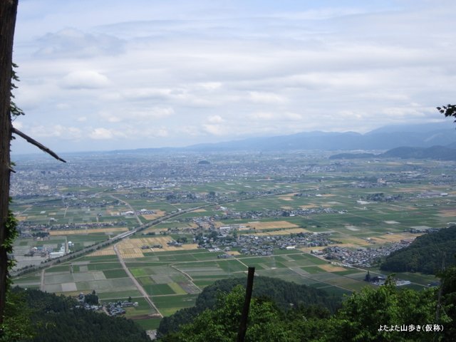 IMG_1878.jpg