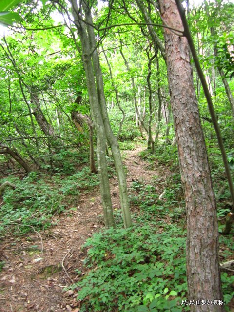 IMG_1981.jpg