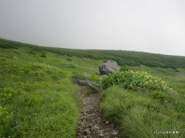 IMG_2985.jpg