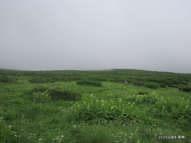 IMG_2986.jpg