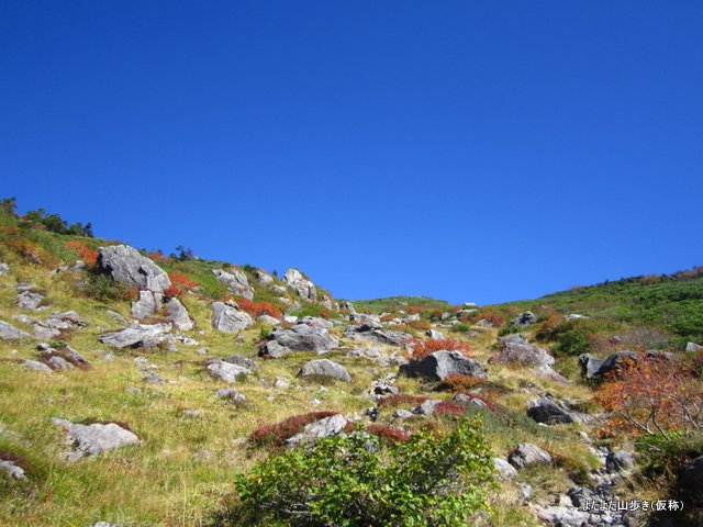 IMG_3748.jpg