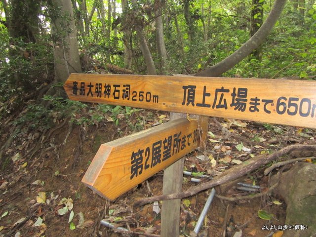 IMG_4208.jpg