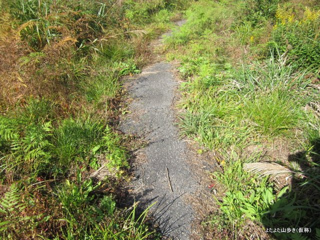 IMG_4517.jpg