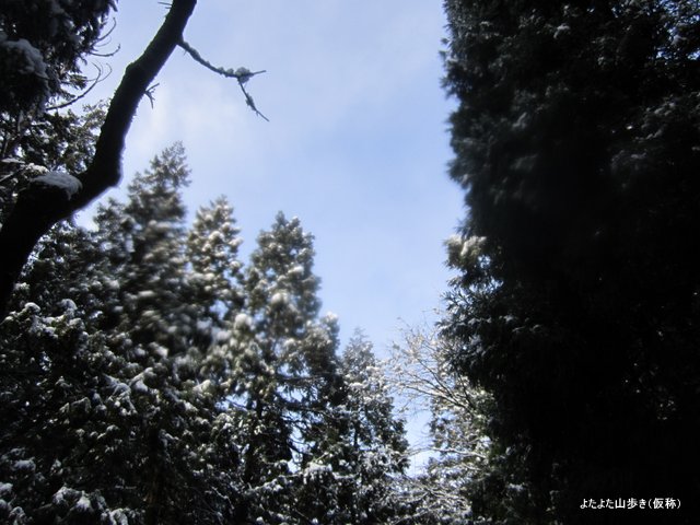 IMG_5130.jpg