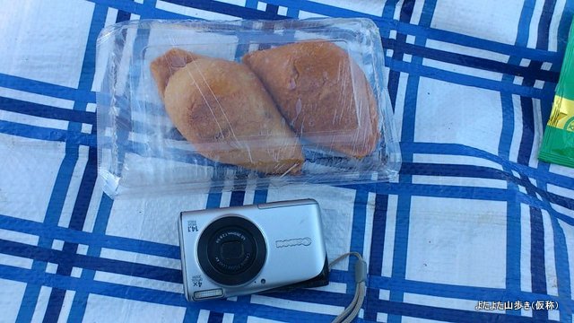 mini_121125_1455.jpg