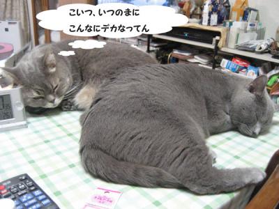 00191102.jpg