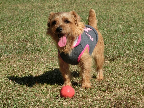 2014_1025_102035-CIMG3783a.jpg