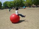 森林公園2