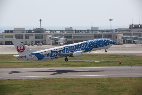 石垣空港_16