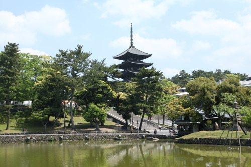 興福寺_05