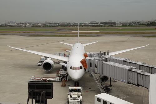 B787_伊丹_20130601_01