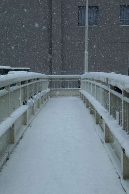 雪景色02