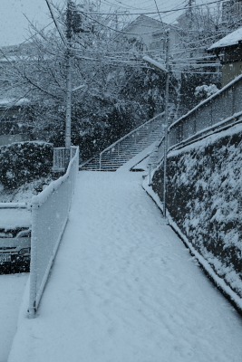 雪景色03