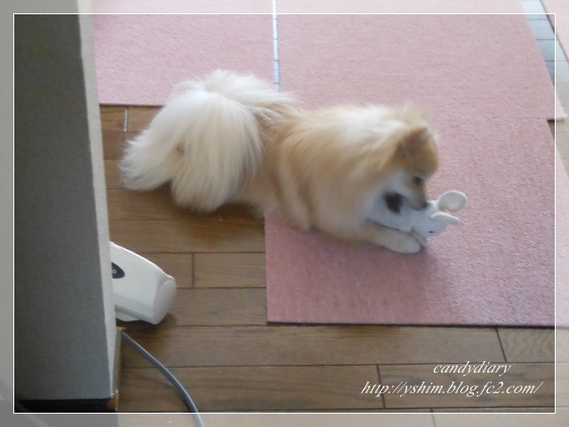 DSCN5397 (640x480)-005
