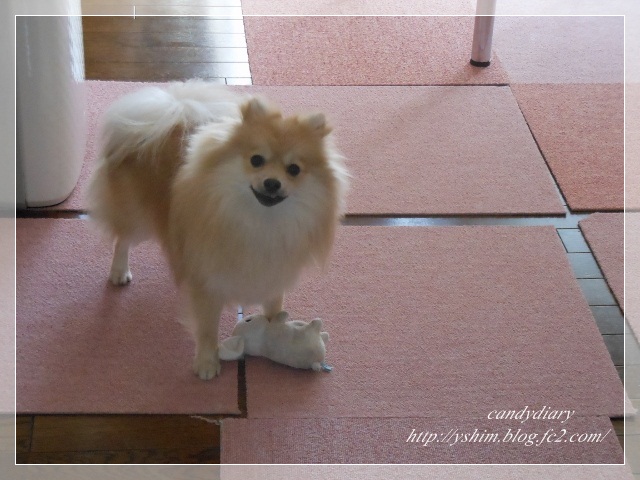 DSCN5391 (640x480)-001