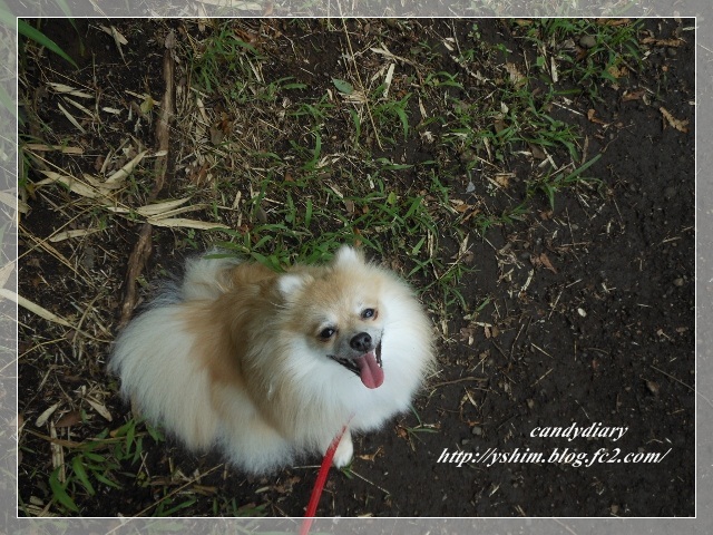 DSCN8503 (640x480)-009