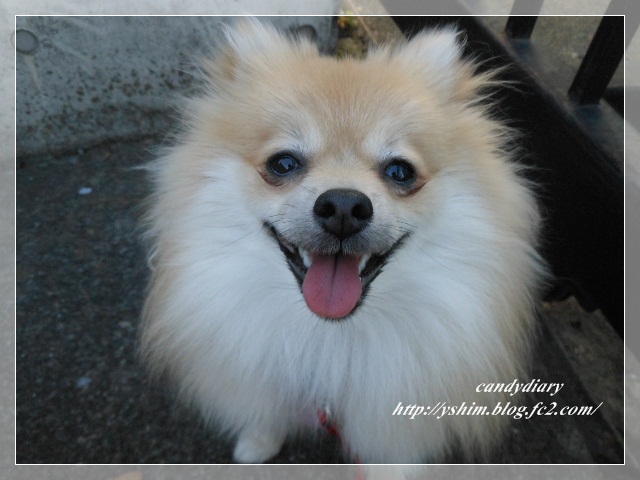 DSCN8632 (640x480)-018