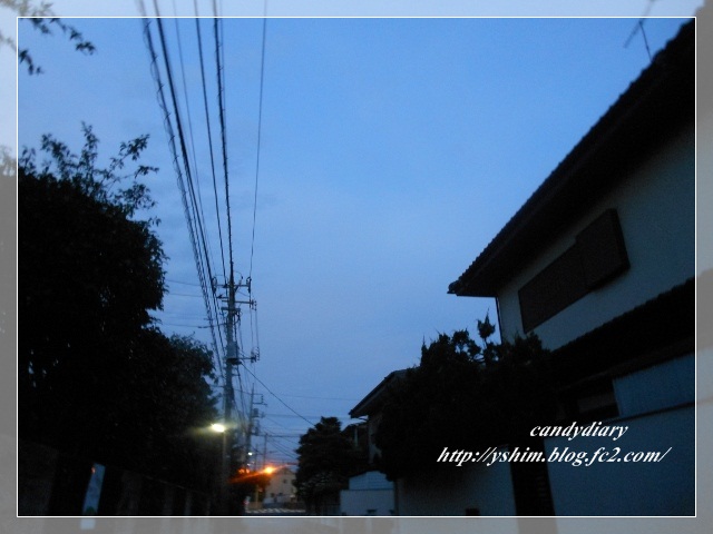 DSCN9251 (640x480)-003
