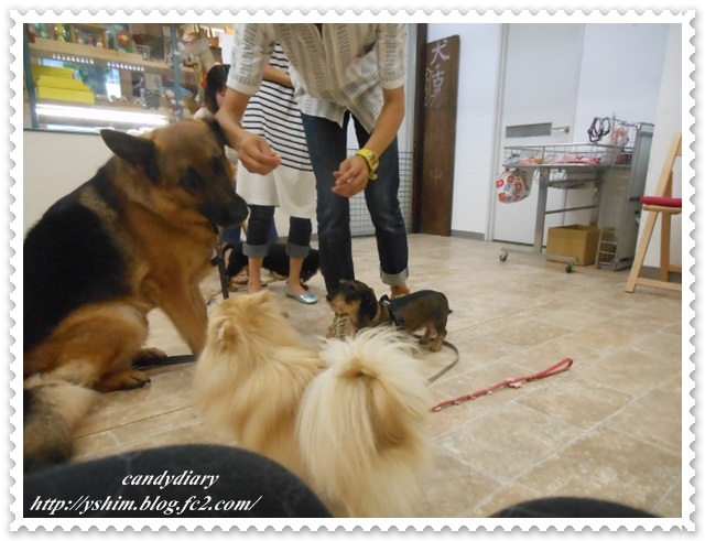 DSCN0260 (640x480)-002