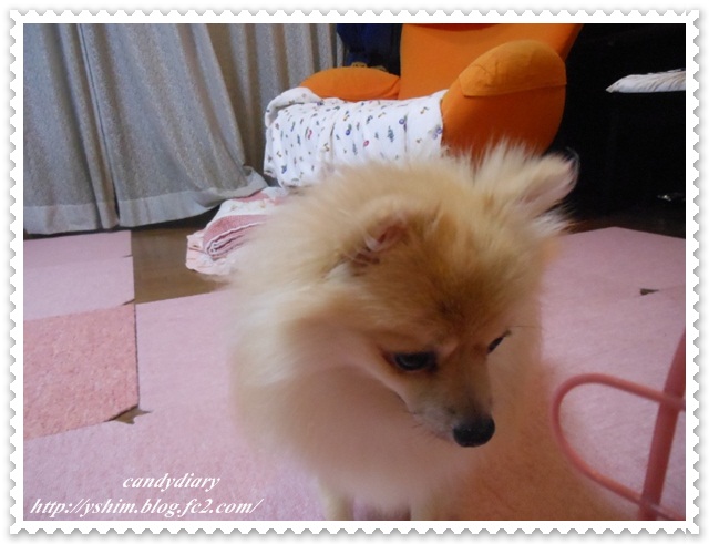 DSCN1052 (640x480)-008