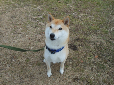 DSCN1356 (400x300)