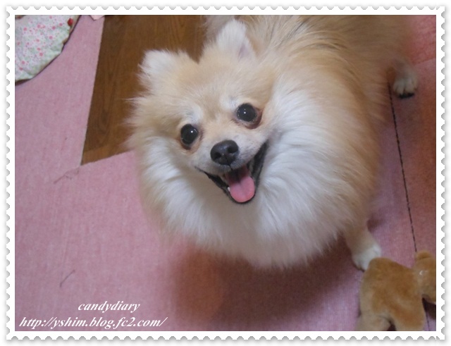DSCN1422 (640x480)-003