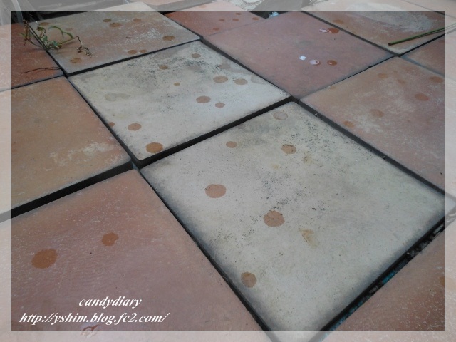DSCN1604 (640x480)-003