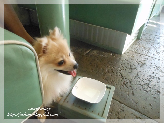 DSCN1948 (640x480)-011