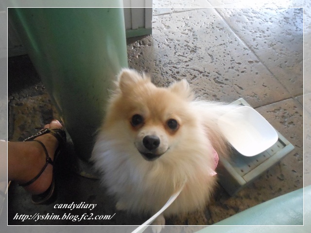DSCN1957 (640x480)-015