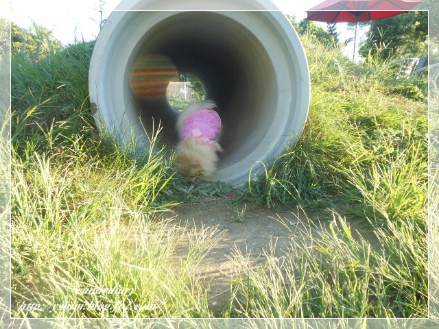 DSCN2107 (640x480)-014