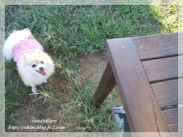 DSCN2061 (640x480)-009