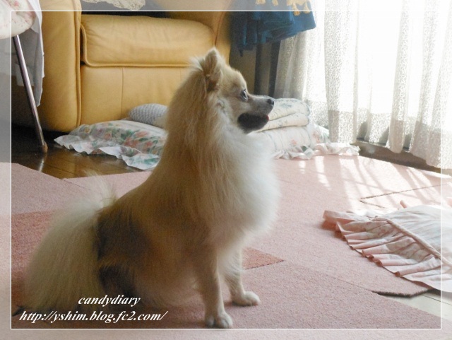 DSCN2227 (640x481) (2)-005