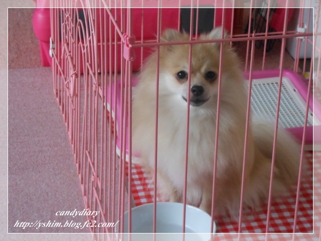 DSCN2332 (640x480)-001