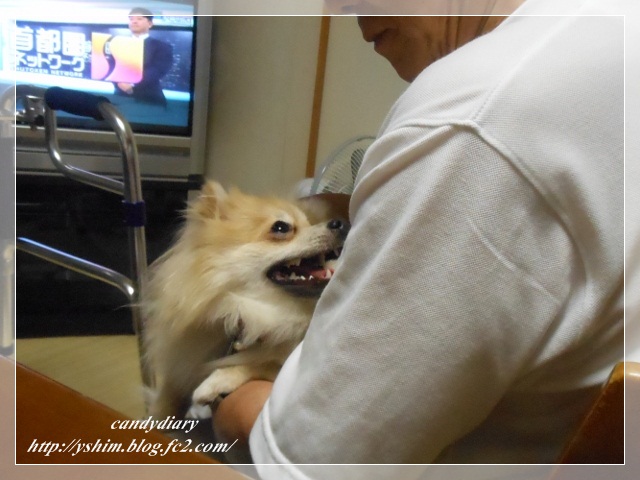 DSCN2589 (640x480)-005