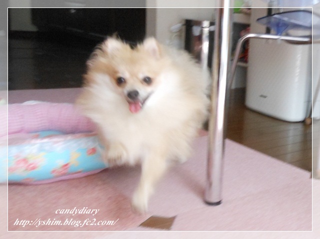 DSCN2756 (640x479)-015