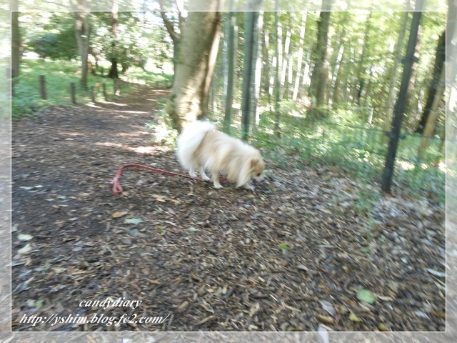 DSCN2670 (640x480)-006