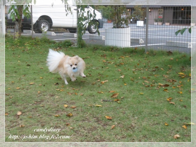 DSCN3470 (640x480) (2)-005