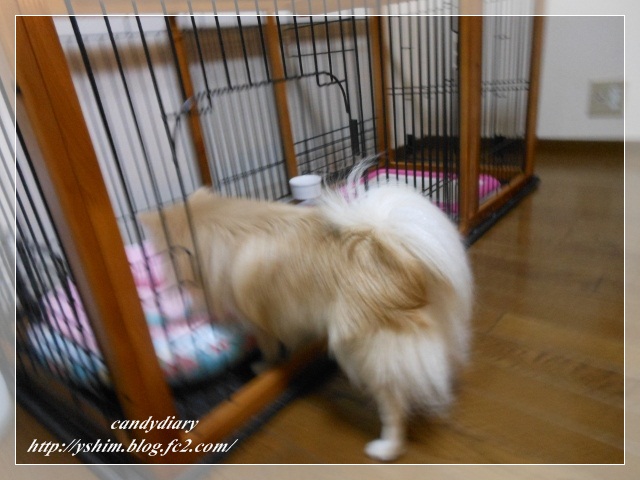 DSCN3512 (640x480) (2)-011