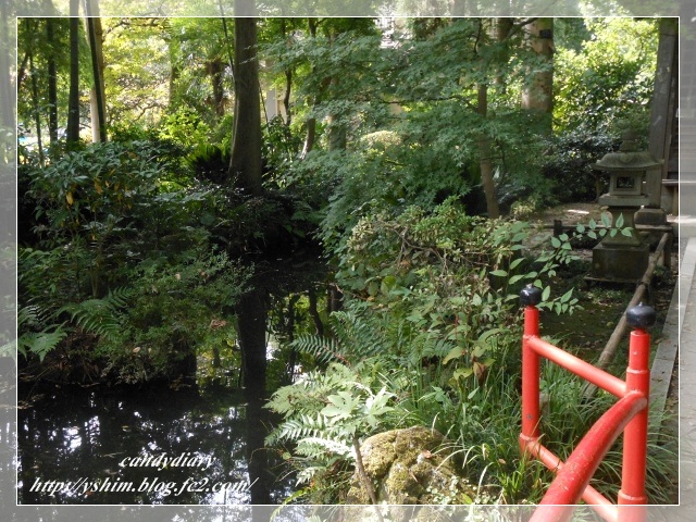 DSCN3603 (640x480)-015