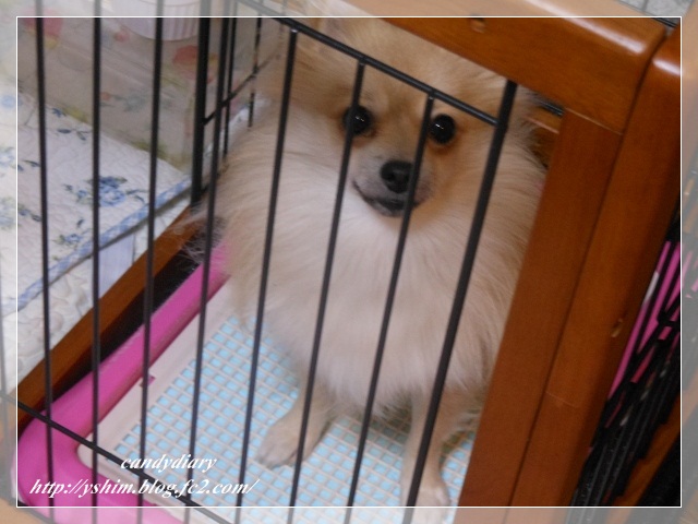 DSCN3853 (640x480)-001