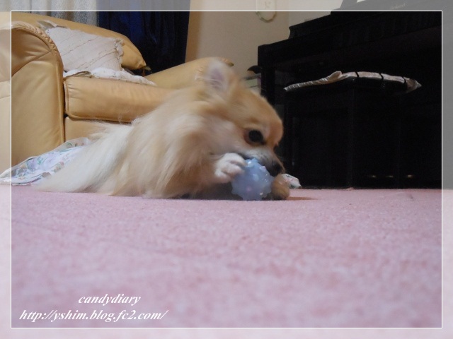 DSCN3906 (640x480)-007