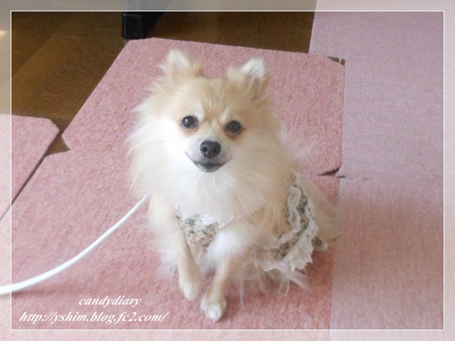 DSCN3953 (640x480)-001